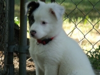 Chloe