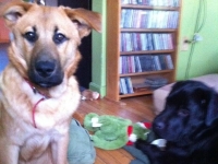Brian and Max