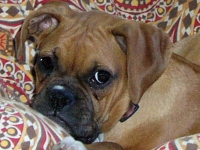 Tilly