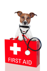 DogFirstAid